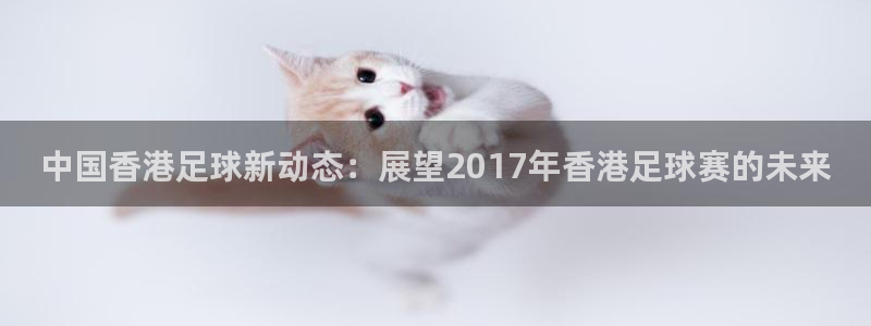  中国香港足球新动态：展望2017年香港足球赛的未来