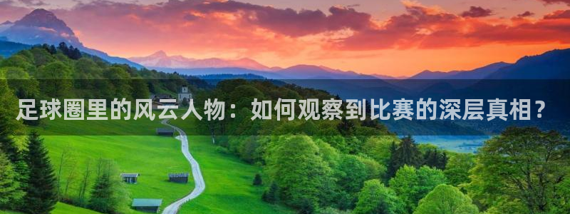 足球圈里的风云人物：如何观察到比赛的深层真相？