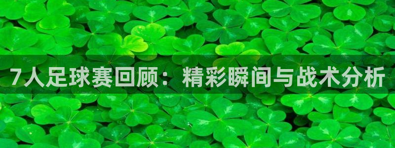 7人足球赛回顾：精彩瞬间与战术分析