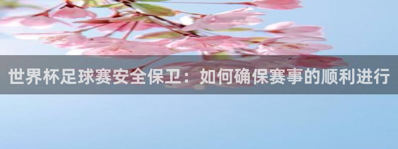 世界杯足球赛安全保卫：如何确保赛事的顺利进行