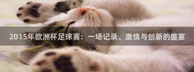  2015年欧洲杯足球赛：一场记录、激情与创新的盛宴