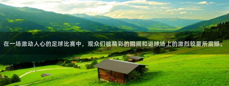  在一场激动人心的足球比赛中，观众们被精彩的瞬间和进球场上的激