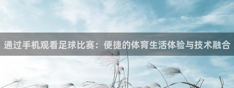  通过手机观看足球比赛：便捷的体育生活体验与技术融合