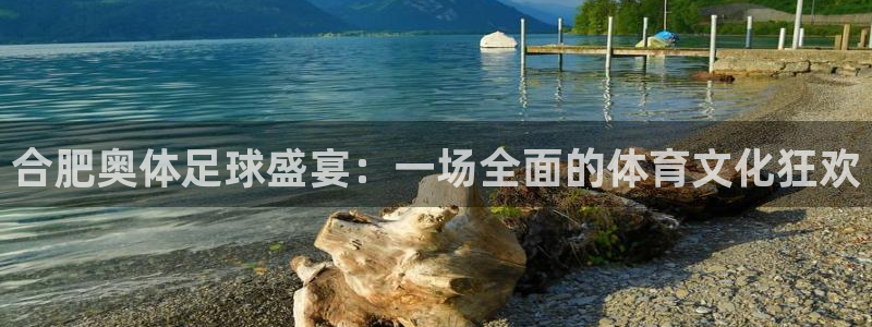 合肥奥体足球盛宴：一场全面的体育文化狂欢