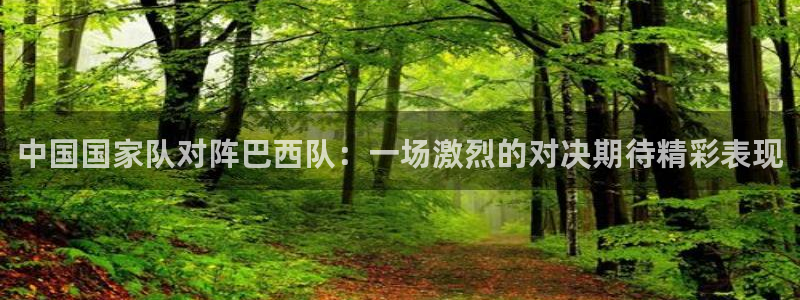 中国国家队对阵巴西队：一场激烈的对决期待精彩表现