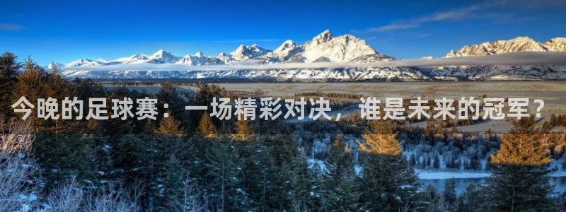  今晚的足球赛：一场精彩对决，谁是未来的冠军？