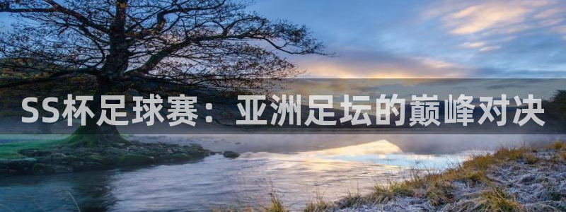  SS杯足球赛：亚洲足坛的巅峰对决