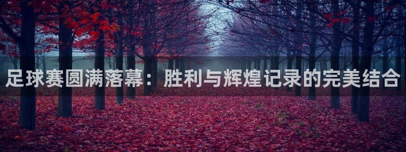 足球赛圆满落幕：胜利与辉煌记录的完美结合