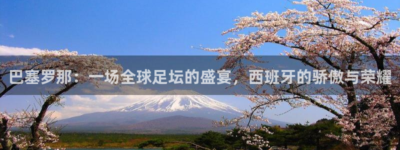 巴塞罗那：一场全球足坛的盛宴，西班牙的骄傲与荣耀