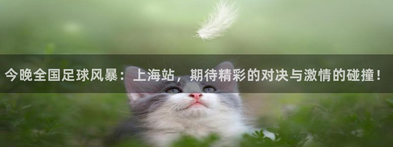 今晚全国足球风暴：上海站，期待精彩的