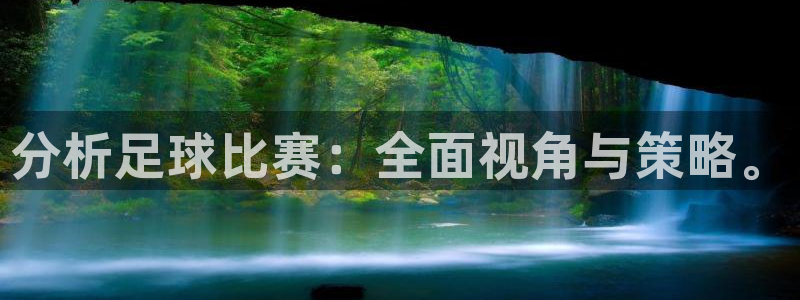 分析足球比赛：全面视角与策略。