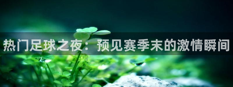  热门足球之夜：预见赛季末的激情瞬间