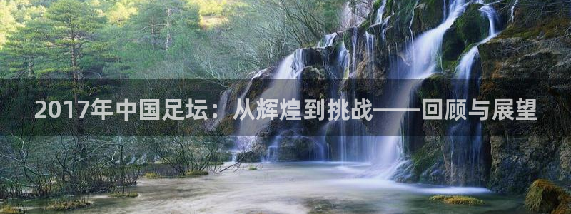  2017年中国足坛：从辉煌到挑战——回顾与展望