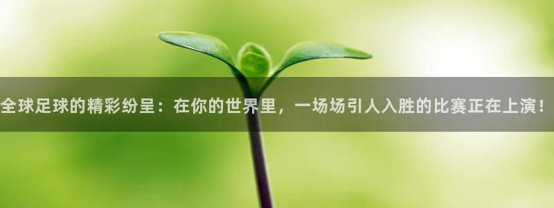  全球足球的精彩纷呈：在你的世界里，一场场引人入胜的比赛正在上