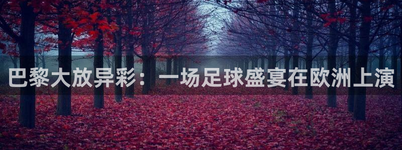  巴黎大放异彩：一场足球盛宴在欧洲上演