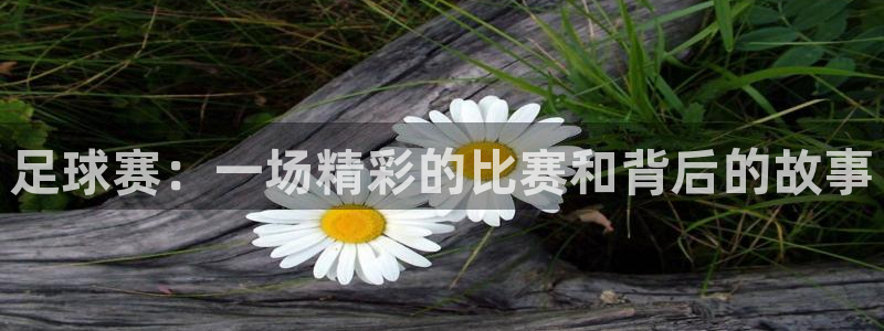  足球赛：一场精彩的比赛和背后的故事