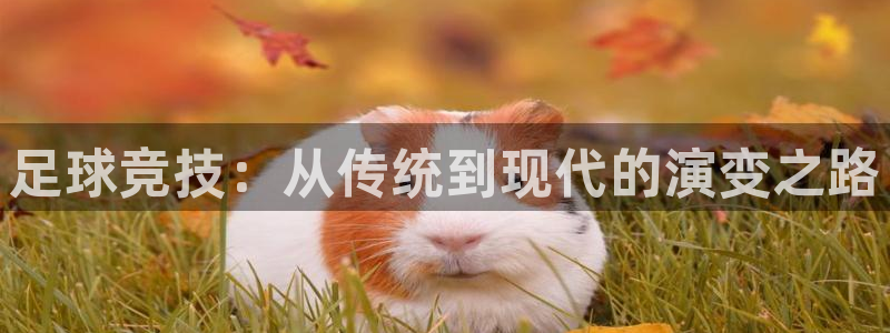  足球竞技：从传统到现代的演变之路