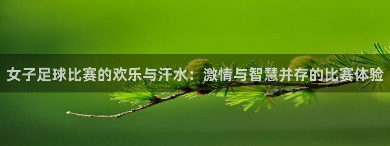 女子足球比赛的欢乐与汗水：激情与智慧并存的比赛体验