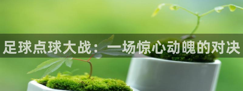足球点球大战：一场惊心动魄的对决