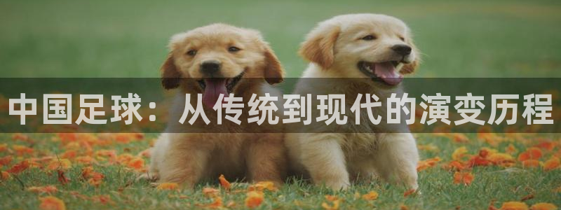 中国足球：从传统到现代的演变历程