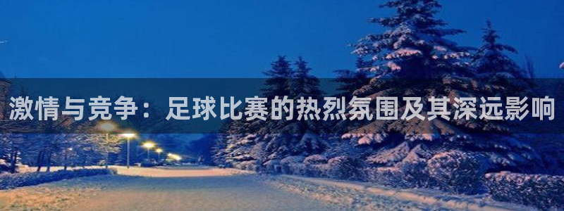激情与竞争：足球比赛的热烈氛围及其深