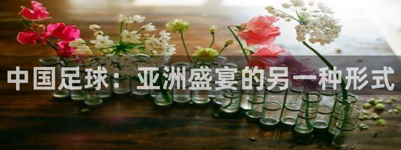 中国足球：亚洲盛宴的另一种形式