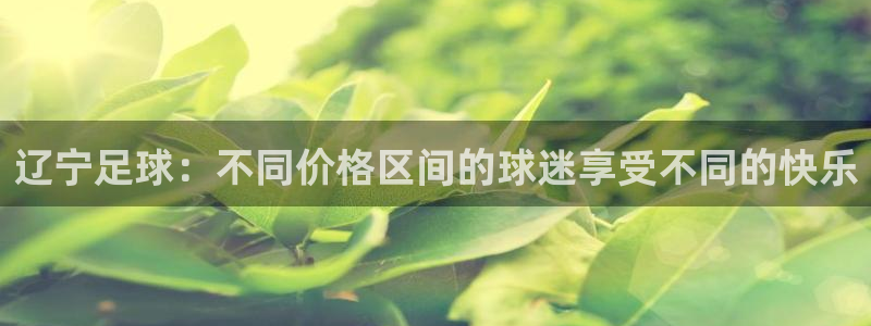 辽宁足球：不同价格区间的球迷享受不同