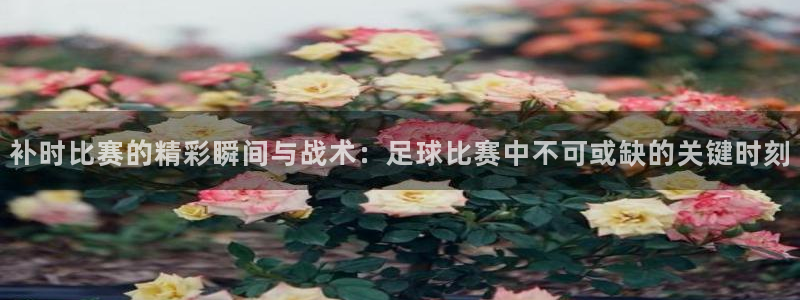 补时比赛的精彩瞬间与战术：足球比赛中