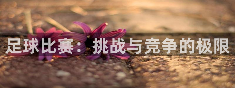  足球比赛：挑战与竞争的极限