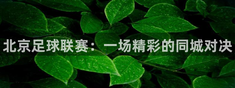 北京足球联赛：一场精彩的同城对决