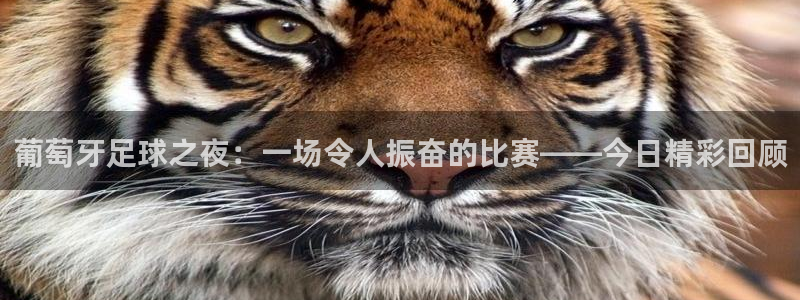 葡萄牙足球之夜：一场令人振奋的比赛——今日精彩回顾