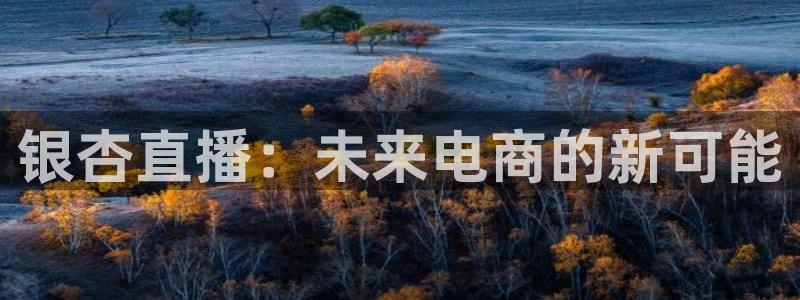 五星体育频道斗地主直播回看：银杏直播：未来电商的新可能