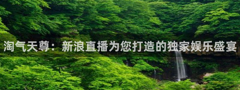 五星体育解说员：淘气天尊：新浪直播为您打造的独家娱乐盛宴